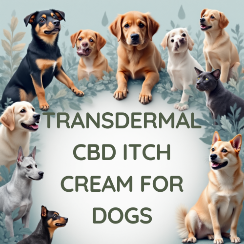 TRANSDERMAL CBD ITCH CREAM FOR DOGS 500MG - TOPICALS BY JUDY